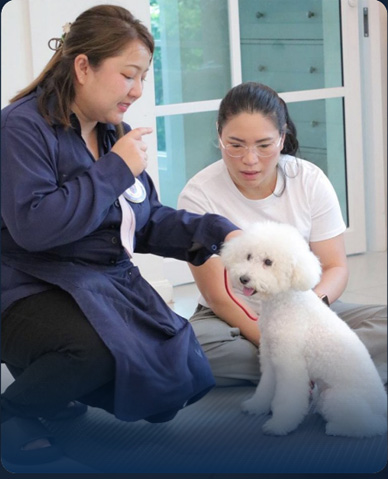Puppy Class