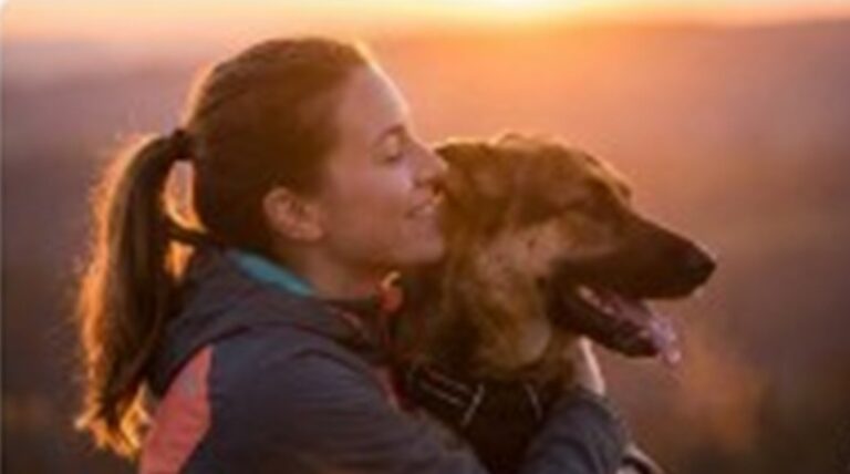 ประโยชน์ของ Dog Sport ที่มากกว่าความสนุก