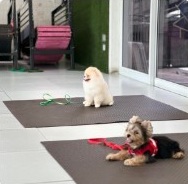 โซนโรงยิม