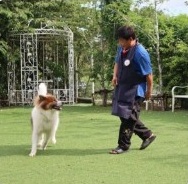 โซนลานวิ่งอิสระ